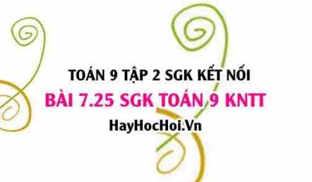 Bài 7.25 SGK Toán 9 tập 2 Kết nối tri thức